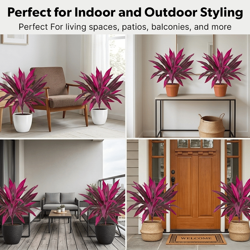 🎁 Celebrate Mom with 50% OFF sitewide! - Artificial Boston Fern & Dragon's Blood Tree Plants