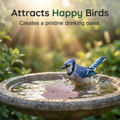 🔥Buy 1 Get 1 FREE!!🔥🌿Universal Fit Bird Bath Cleaner🐦💦Wildlife-Safe Leaf Purifier for Fresh, Clear Water in Any Garden Basin | Rust-Resistant & Low Maintenance🛡️✨